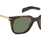 DB 7047/S Dark Havana Gold Green