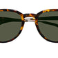 Kash Sun Tortoise Gold
