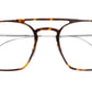 0009 Optical 02