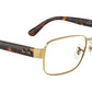 RB6529 Optics 2500