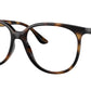 RB4378V Optics 2012