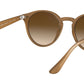 RB2180 turtledove