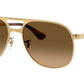 Bill Max RB3793 001/M2