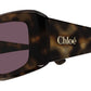 CH0299S 002