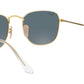 Frank RB3857 9196R5 legend gold