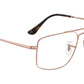 RB6579 Optics 2943