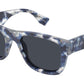 GG2009S 002