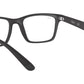 RB7025 Optics 2077