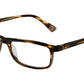 NEW MOON HVBE Tortoise