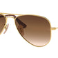 Aviator RJ9506S 223/13 arista