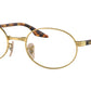 RB6481V Optics 2500