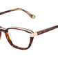 VILLE HVBE Tortoise