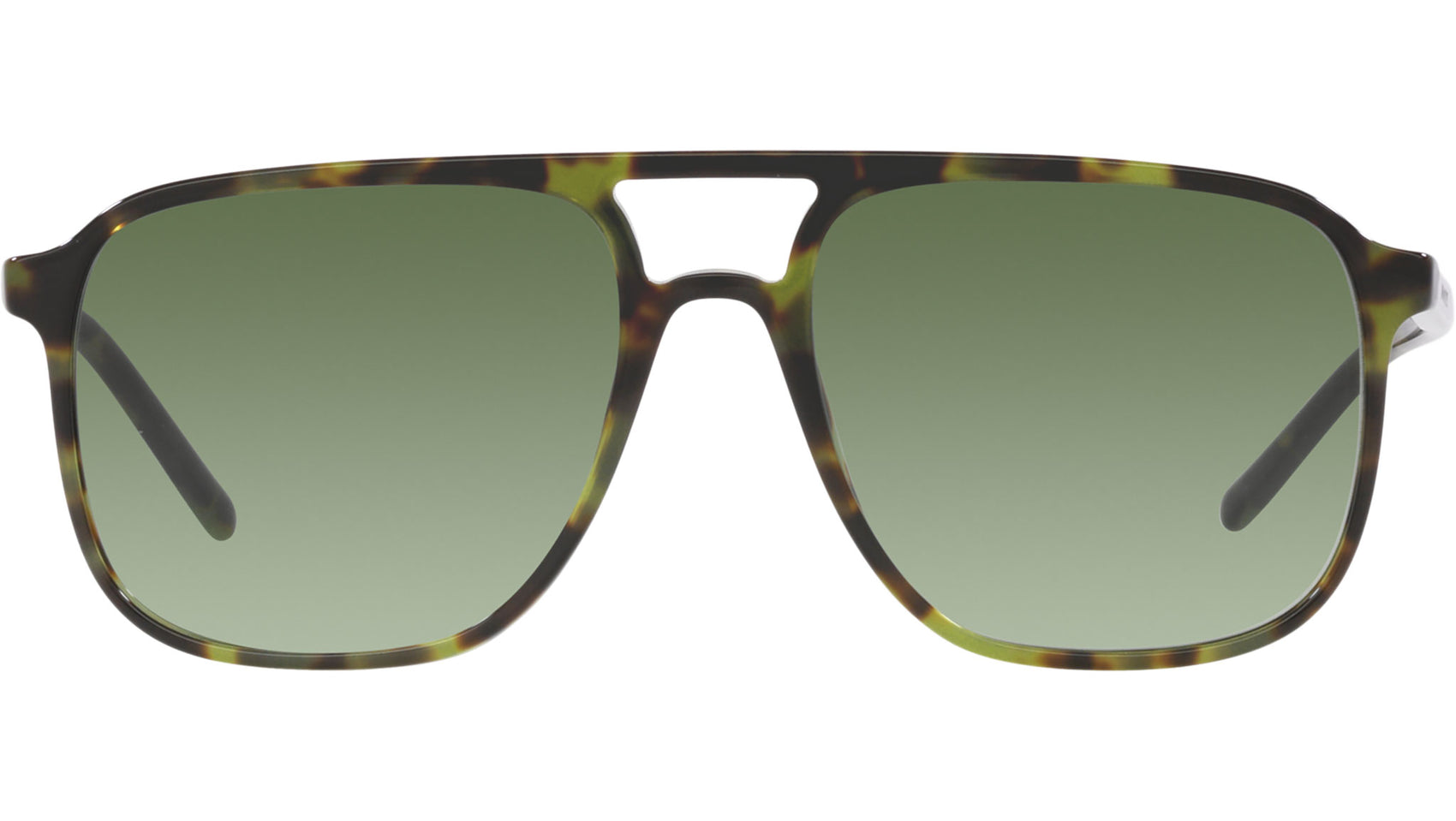 DG 4423 17358E tortoise
