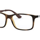 RY1570 3685 Tortoise
