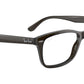 RB5428 Optics 8299