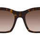 DG 4384 321773 Tortoise Brown