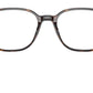 Leonard Optics RB5393 2012