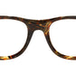 013 Optical 02