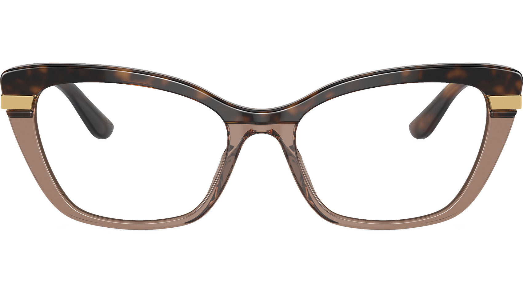 DG 3325 3256 tortoise