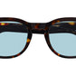 Gelt Sun Tortoise
