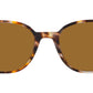 Elliot RB2197 135757 havana brown grey