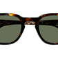 Billik Sun Tortoise