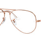 Aviator Optics RB6489 3094