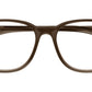 MB0327O 003 Transparent Brown
