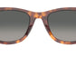 Wayfarer Street Neat RB2240 144371
