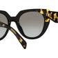 PR 14WS black and medium tortoise