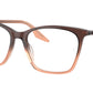 RB5422 Optics 8312