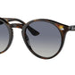 RB2180 710/4L Light Havana