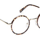 Shikker Tortoise/Gold
