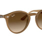 RB2180 turtledove
