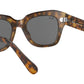 State Street RB2186 1292B1 Havana Brown