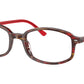 RB5432 Optics 8396
