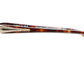 D74 TAR Tortoise