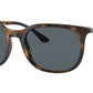 RB4386 710/R5 havana