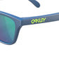 Frogskins XS OJ9006 32 Matte Poseidon