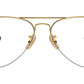 Aviator Gaze Optics RB6589 2500