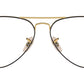 Aviator Optics RB6489 2890