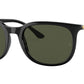 RB4386 601/31 black
