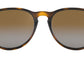Erika Classic RB4171 gloss tortoise