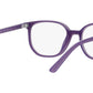 RY9097V 3935 Purple