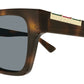 GG1889S 004