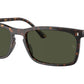 RB4435 902/31 Tortoise