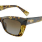 HACELIA HV Tortoise