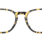 Finley 1993 OV5491U 1778 Tokyo Tortoise
