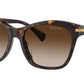 RA5310U 500313 Dark Havana