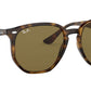 RB4306 710/73 light havana